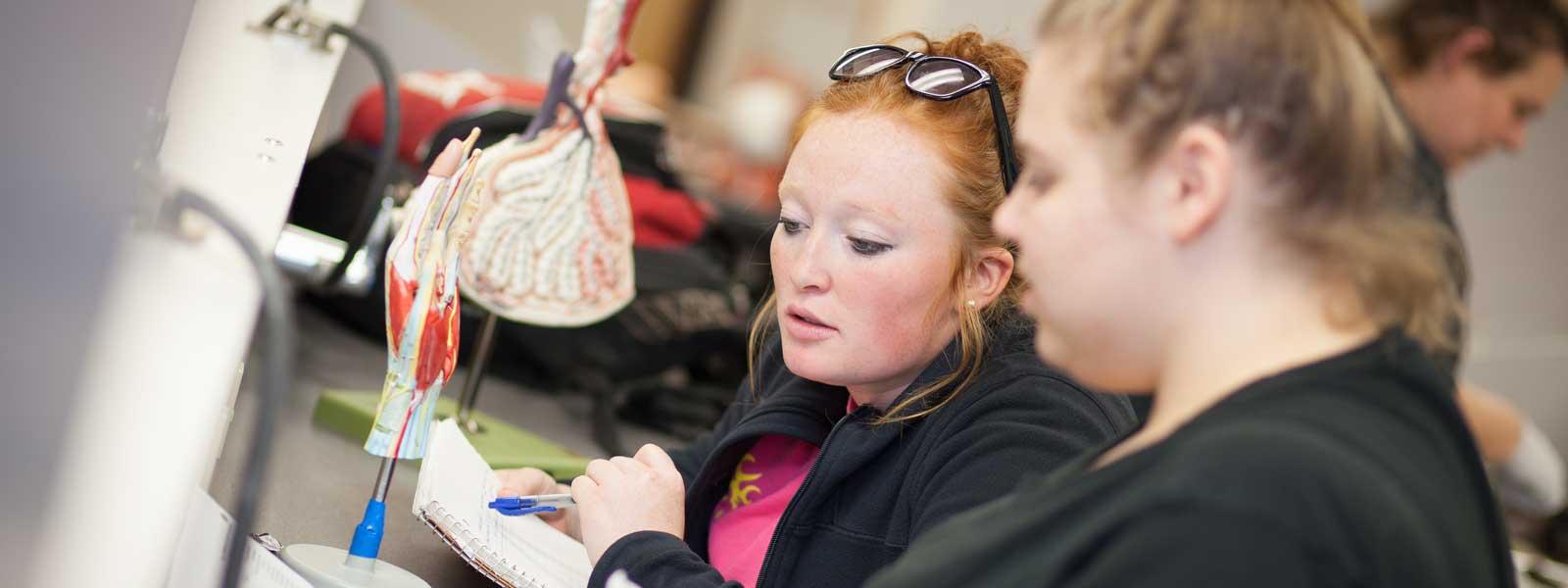 nursing students examine human anatomy models